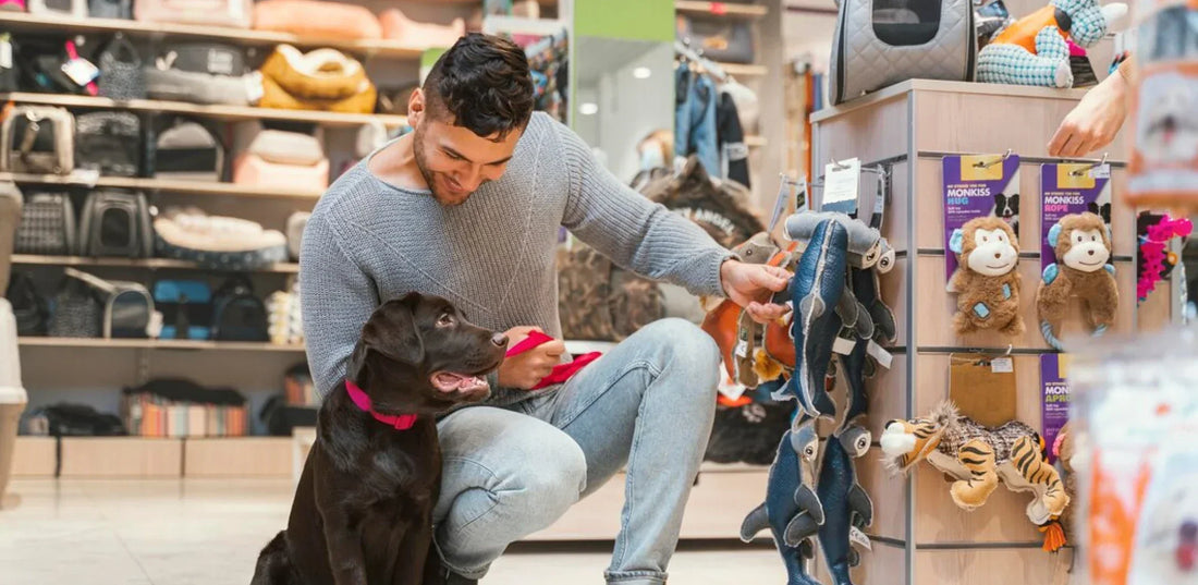 Secret Signs Your Pet is Unhappy (And How to Fix Them Fast!)