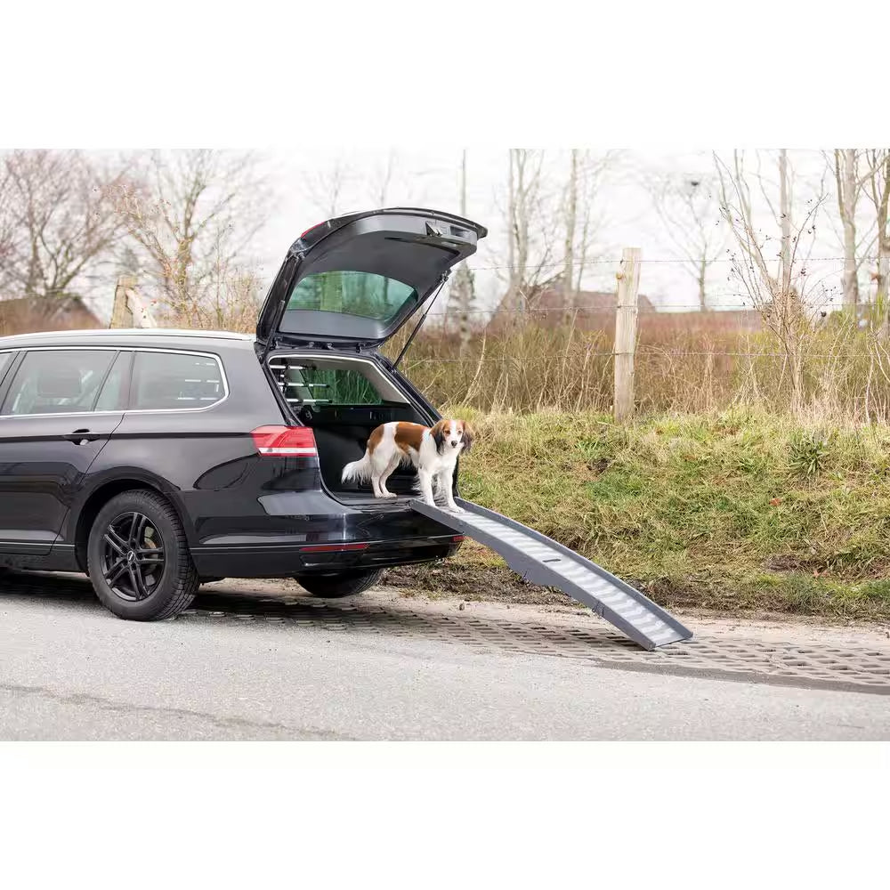 Portable Pet Ramp, Lightweight, Foldable, Easy to Carry