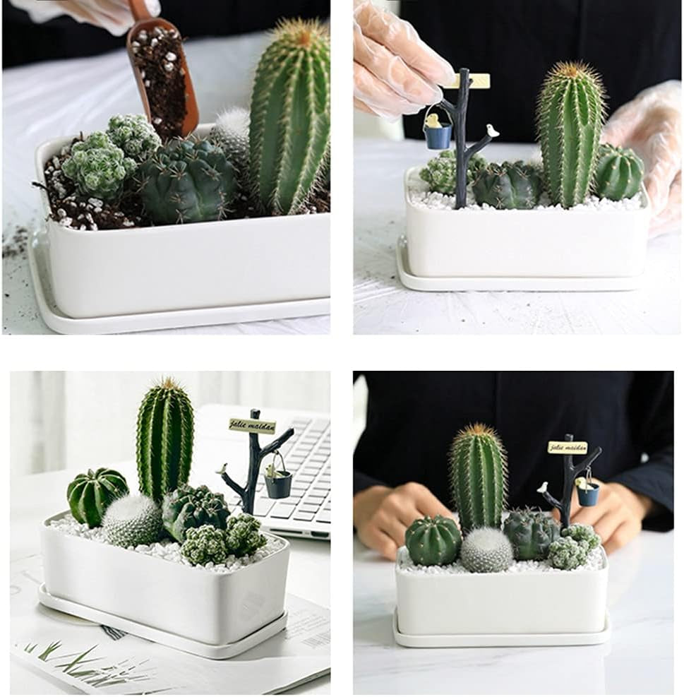 6Mm-8Mm White Gravel Succulents and Cactus Bonsai DIY Projects Rocks White Onyx Plant Rocks Garden Outdoor Indoor Gravel for DIY Fairy Gardening Top Dressing-3Lb