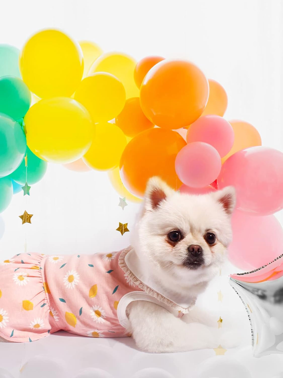 Dog Dress, Dog Birthday Dress, Dogs Summer Skirt, Dogs Flower Skirt with Lace Collar, Cute Puppy Clothes for Small Medium Doggie Cat Girl (Pink, XS)