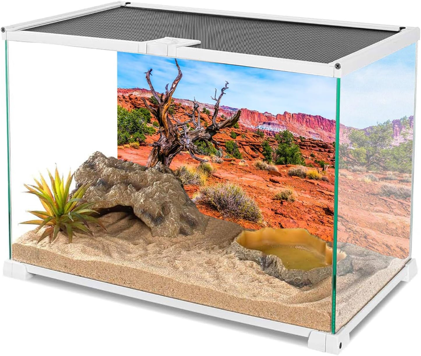 48X24 Inches Reptile Habitat Background Blue Sky Oasis Orange Desert Terrarium Background Polyester Background