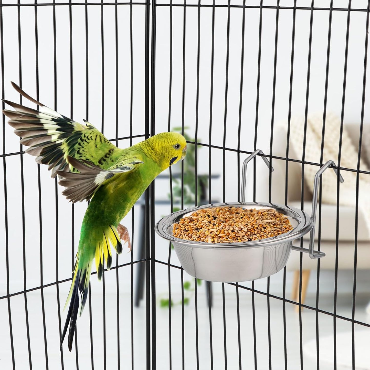 Stainless Steel Food Water Cup with Bolt Hooks for Pet Bird Crates Cages Coop Dog Cat Parrot Bird Rabbit Pet (Small,11Cm)