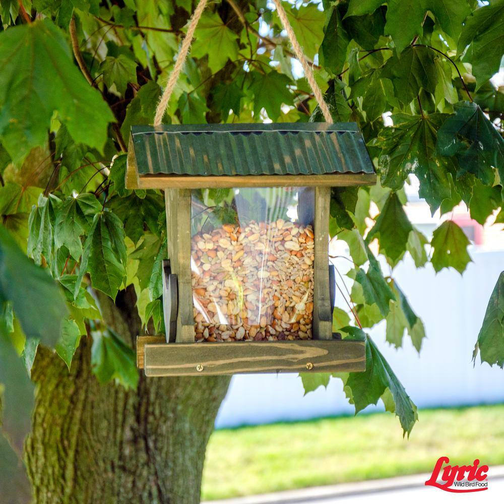 5 Lbs. Delite High Protein No Waste Wild Bird Mix