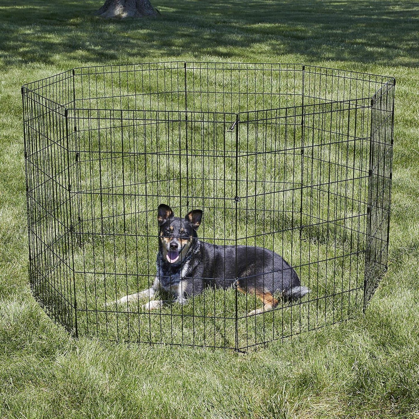 Folding Metal Dog Exercise Pen, Indoor/Outdoor Playpen with No Door, Provides 16 Sq Feet of Play Space, 36-Inches Tall, Black E-Coated