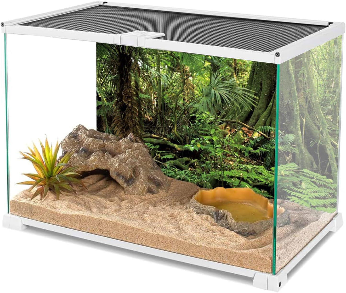 72X24 Inches Forest Terrarium Background Stone Green Huge Tree Reptile Habitat Background Tropical Rainforest Aquarium Background Durable Polyester Background