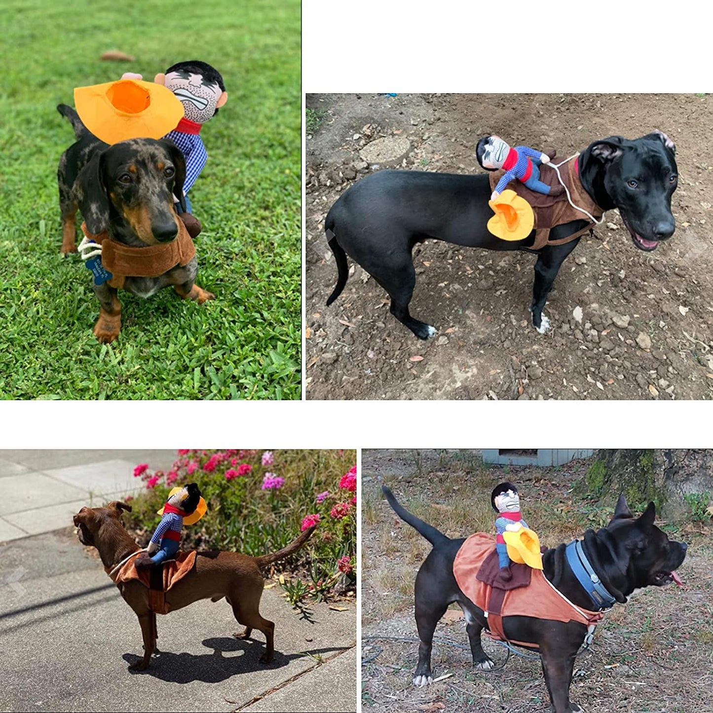 Pet Costume Dog Costume Clothes Pet Outfit Suit Cowboy Rider Style with Doll and Hat Pet Costume (S)