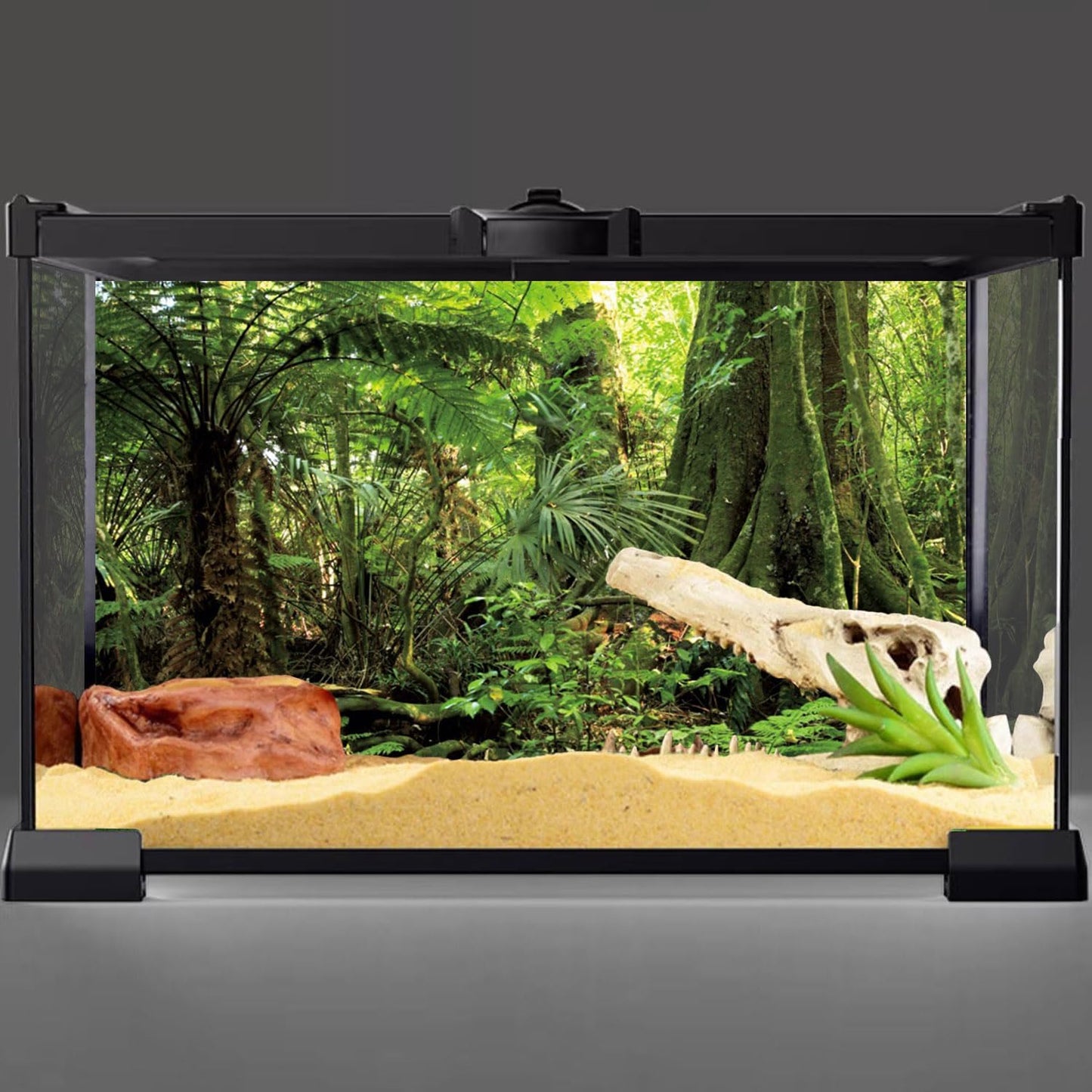 72X24 Inches Forest Terrarium Background Stone Green Huge Tree Reptile Habitat Background Tropical Rainforest Aquarium Background Durable Polyester Background