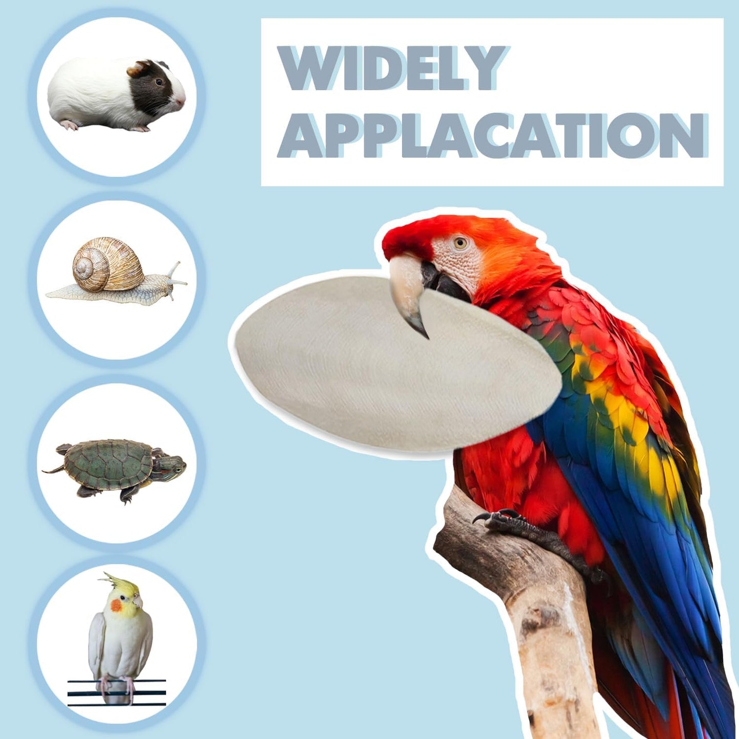 5"-5.5" Bird Cuttlebone for Parakeets, Cuddle Bone with Metal Holder, Cuttlefish Bone for Sharp Beaks, Natural Birds Calcium for Parrots Cockatiels Budgie, 6 Pcs