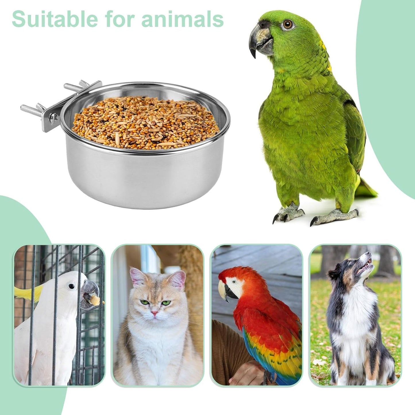 Stainless Steel Bird Food Water Bowl Parrot Cage Accessories for Parakeet Bird Dog Cat Parrot Rabbit (Large,5.5 * 2.3In)