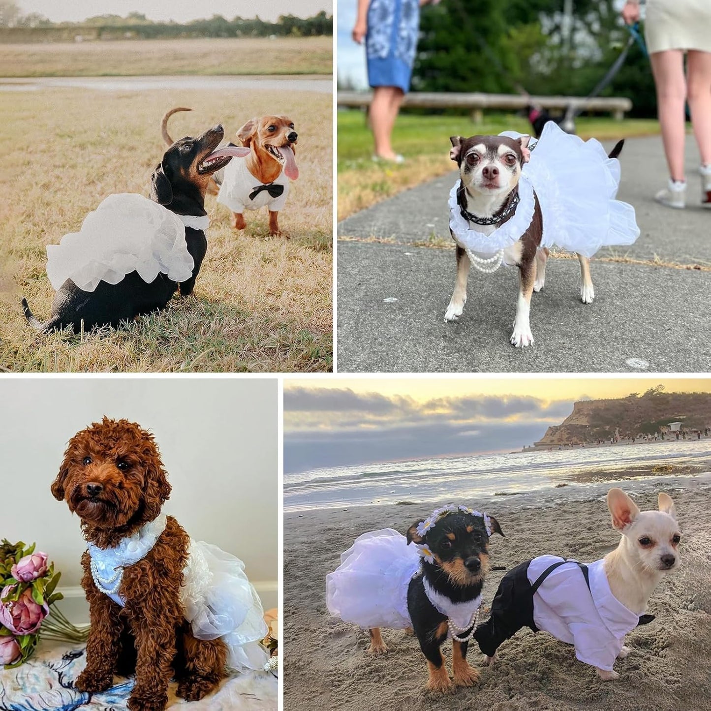 Dog Wedding Dress Bride Outfit with Pearl Necklace and Rose Pet Princess Dress Apparel for Puppy Dog Cat (Large)