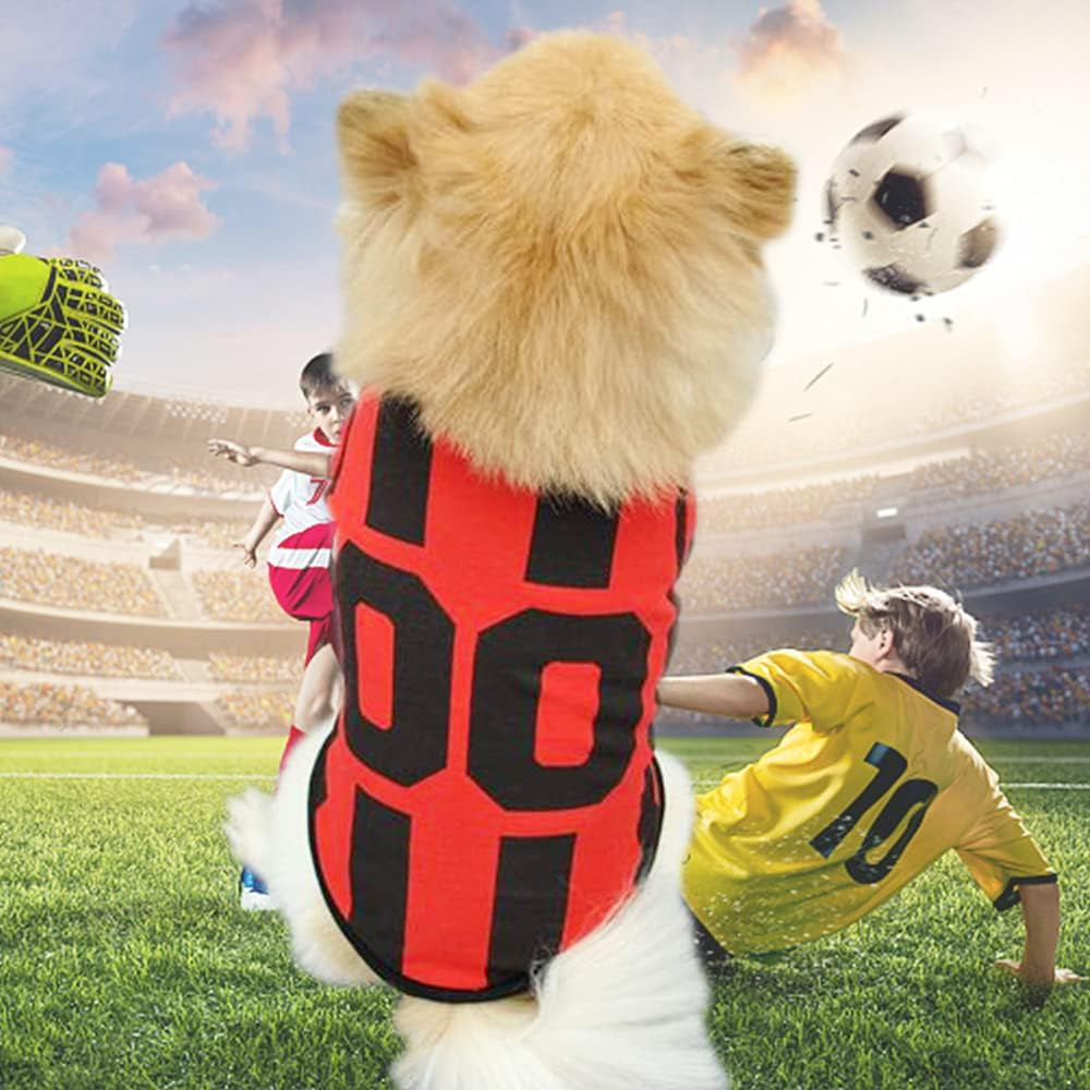 3 Piece Pet Dog Clothes for Small Dogs Girl Boy Puppy Shirt Male Female Outfits Cat Clothing Apparel for Teacup Rench Bulldog Yorkie Breed (XS)