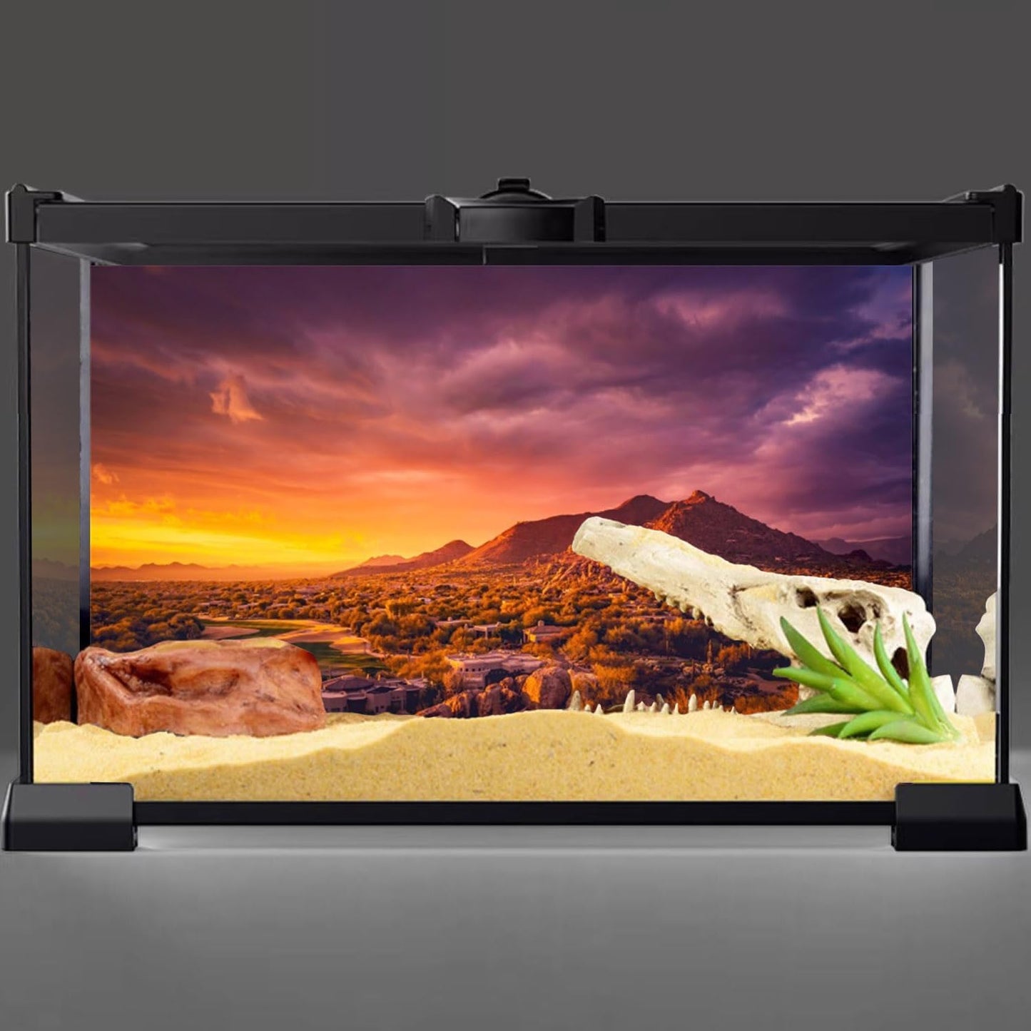 72X18 Inches Sun and Desert Terrarium Background Mountain Oasis Gobi Reptile Habitat Background Durable Polyester Background