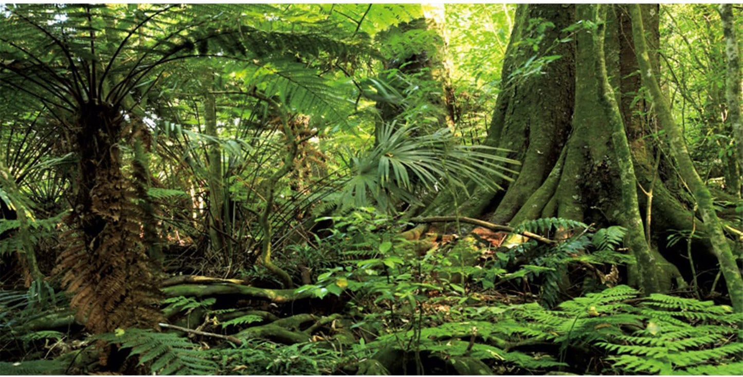72X24 Inches Forest Terrarium Background Stone Green Huge Tree Reptile Habitat Background Tropical Rainforest Aquarium Background Durable Polyester Background