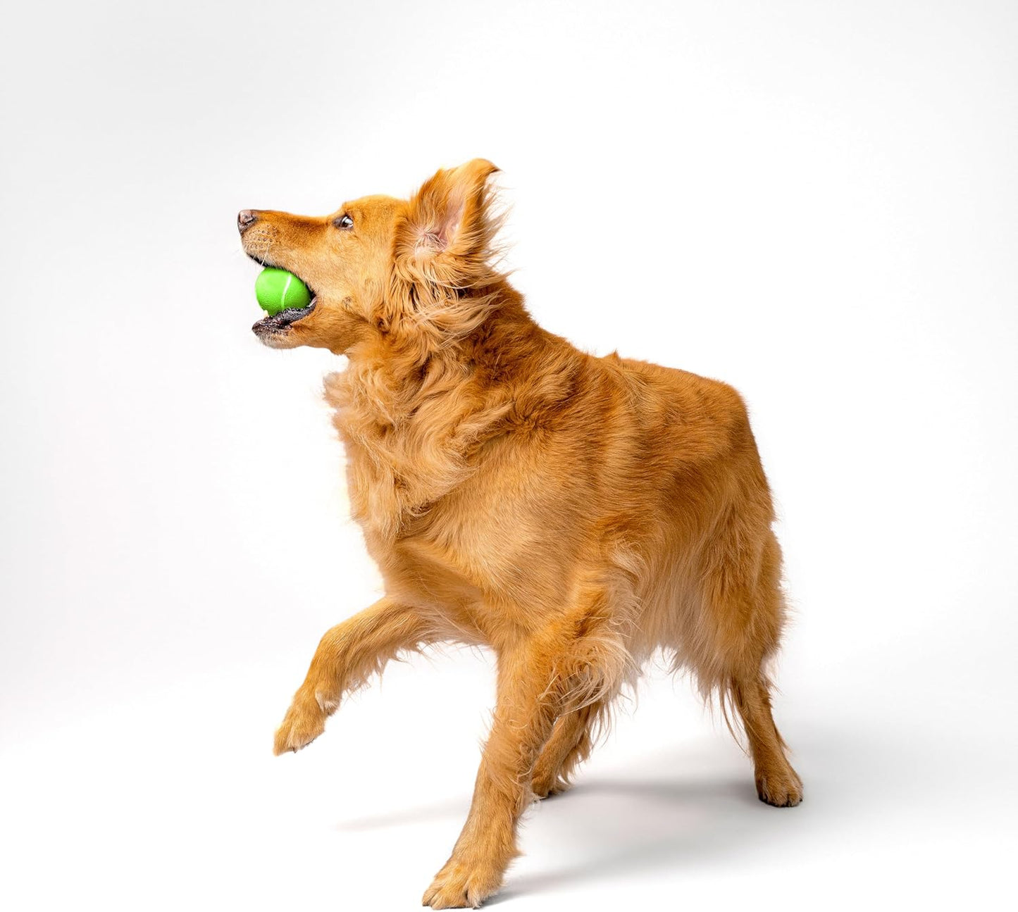 Squeaky Dog Toy | Durable Rubber Interactive Dog Ball | Sweet Potato Scented Fetch Ball for Medium Dogs | Floating Dog Toy Made from Non Toxic Materials