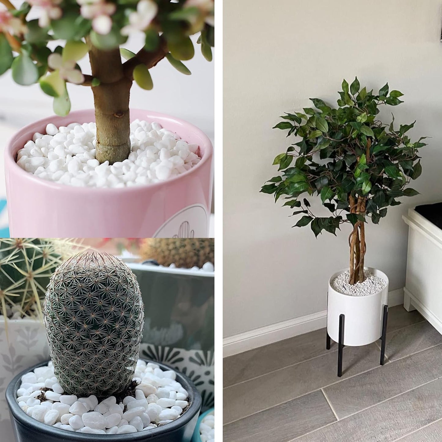 6Mm-8Mm White Gravel Succulents and Cactus Bonsai DIY Projects Rocks White Onyx Plant Rocks Garden Outdoor Indoor Gravel for DIY Fairy Gardening Top Dressing-3Lb