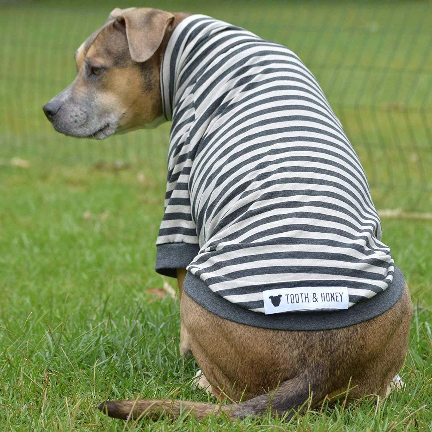 Medium Dog Pullover Shirt – Striped Cotton & Spandex Dog Shirt with Full Underbelly Coverage – White & Grey Dog Shirt for Allergy & Summer Protection (Medium)