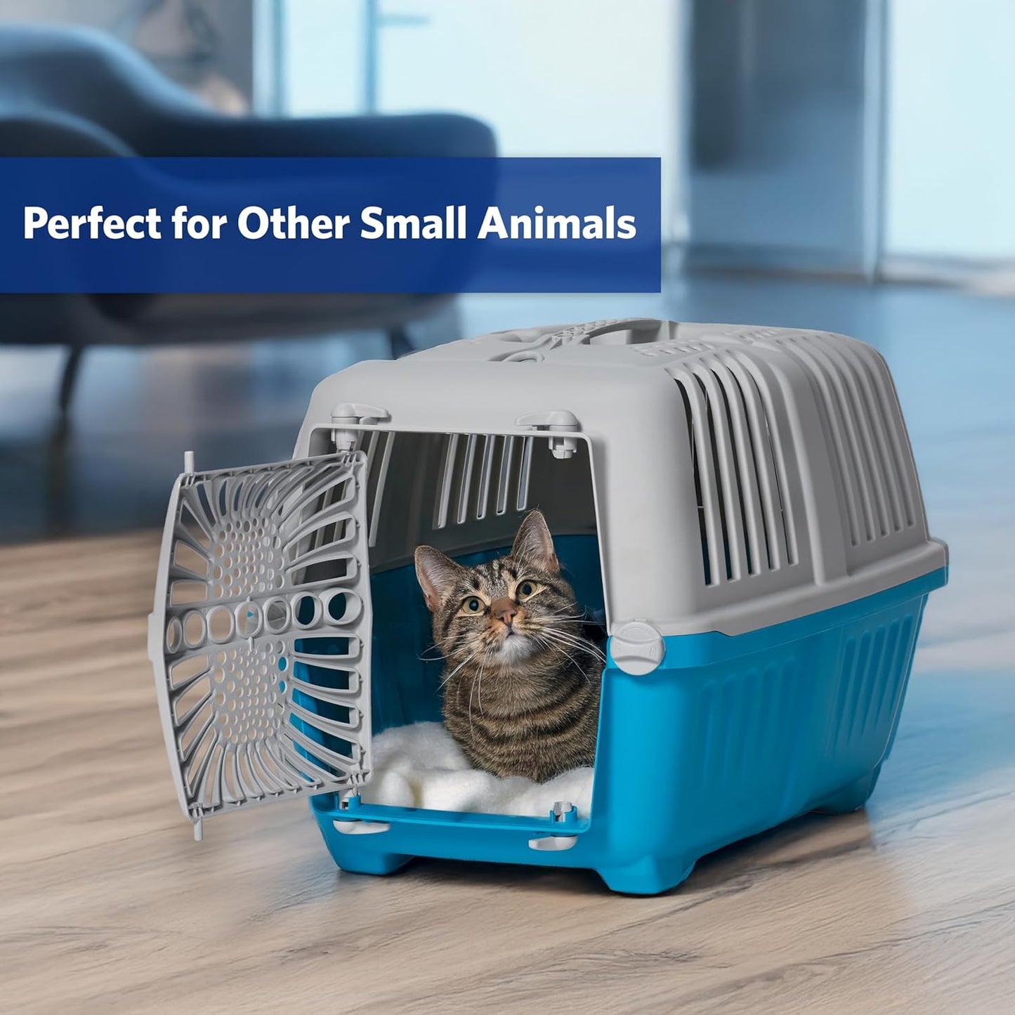 Spree Travel Pet Carrier | Hard-Sided Pet Kennel Ideal for Toy Dog Breeds, Small Cats & Small Animals | Dog Carrier Measures 19.1L X 12.5 W X 13H - Inches
