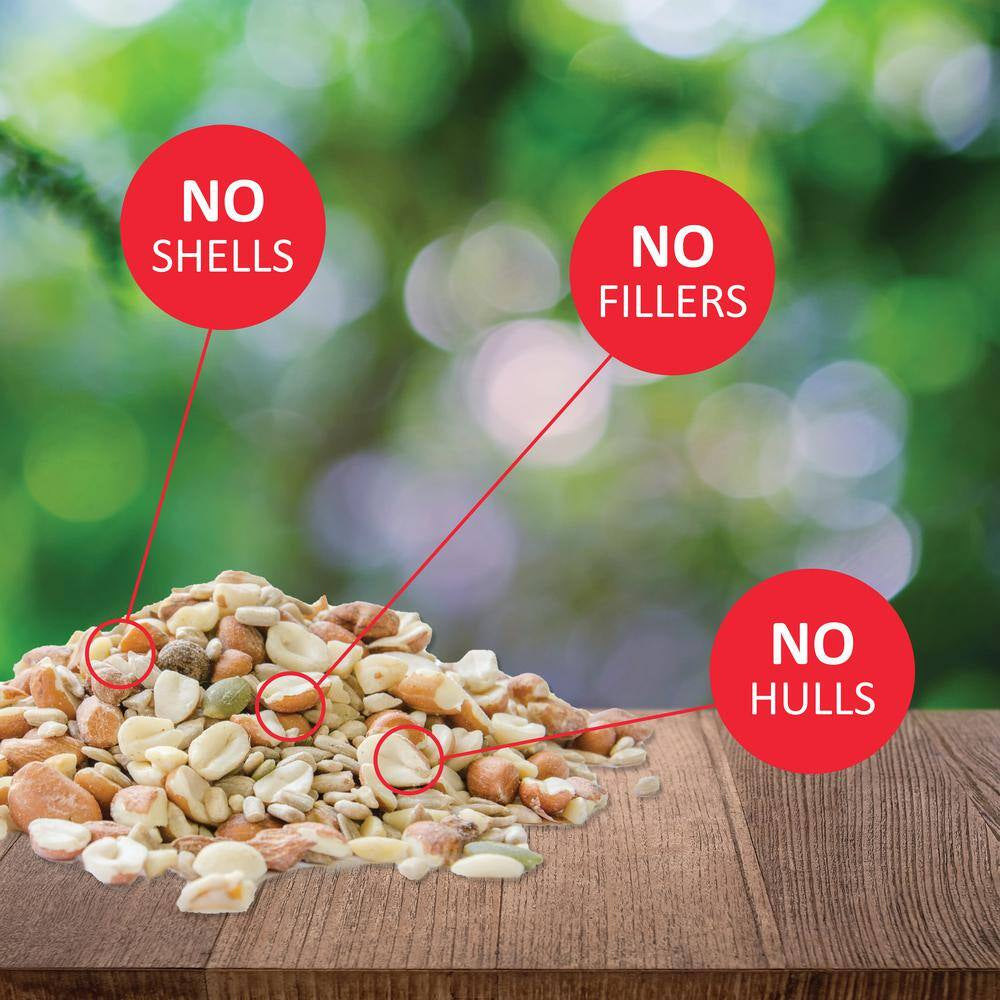 5 Lbs. Delite High Protein No Waste Wild Bird Mix