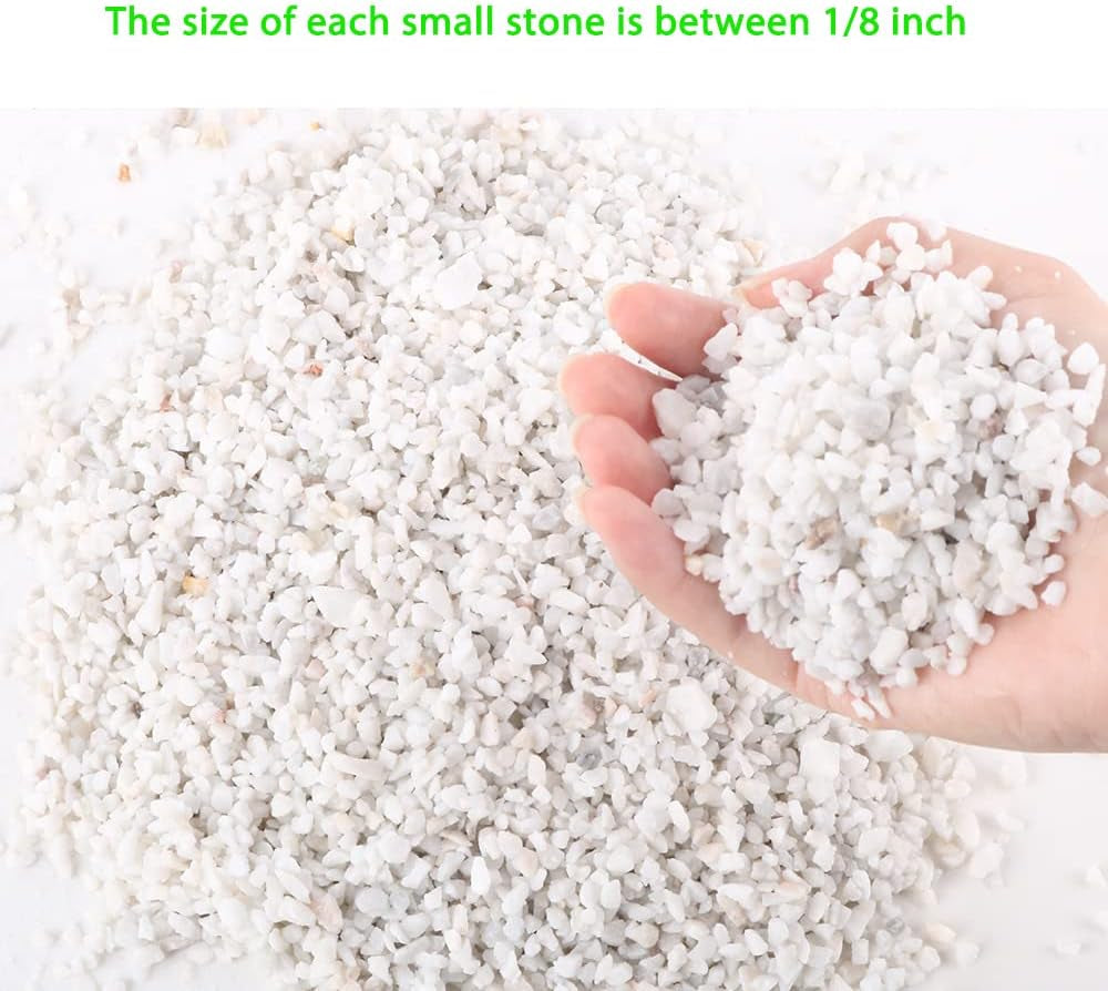 6Mm-8Mm White Gravel Succulents and Cactus Bonsai DIY Projects Rocks White Onyx Plant Rocks Garden Outdoor Indoor Gravel for DIY Fairy Gardening Top Dressing-3Lb