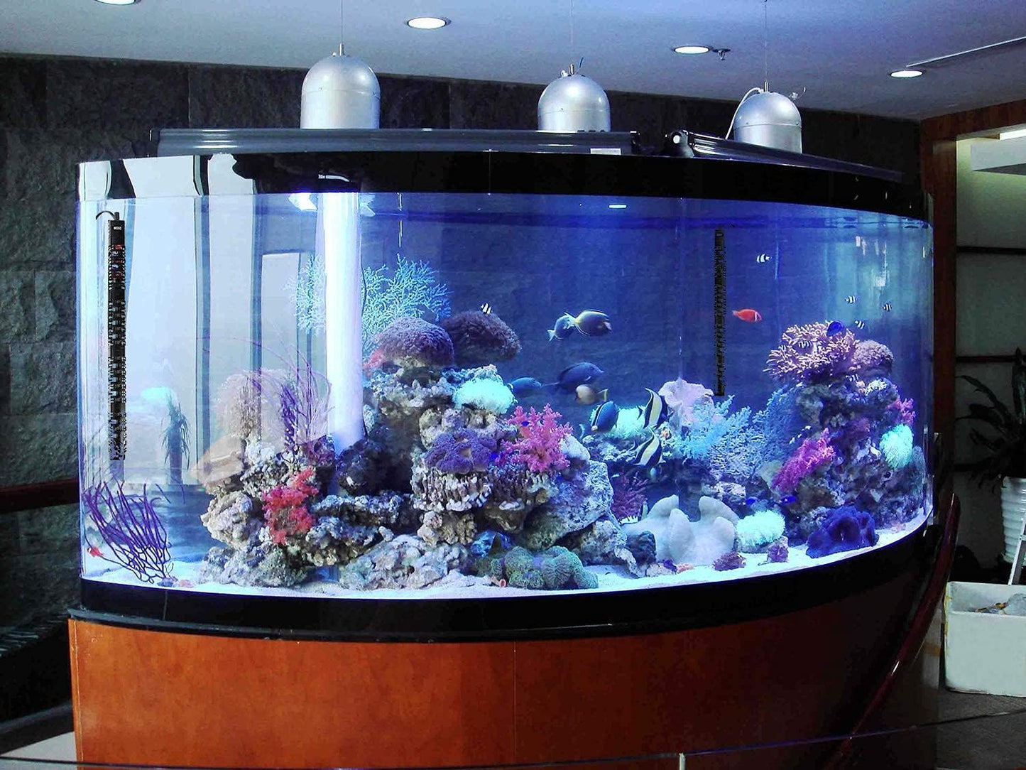 100W/300W/500W Aquarium Heater 500 Watt Fish Tank Heater Submersible Auto Thermostat Turtle Tank Heater 40-90 Gallon with Protective Sleeve and 3 Suckers