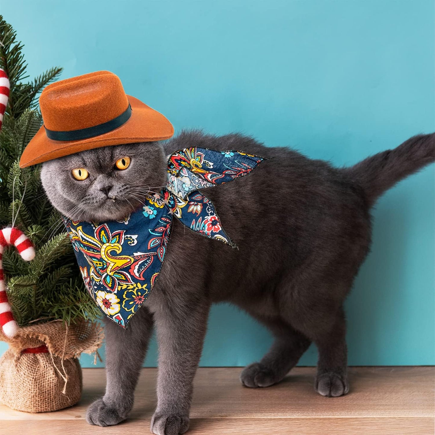 2 Pack Funny Pet Costume Accessories Set, Cat Small Dog Cowboy Hat with Adjustable Elastic Chin Strap and Bandana for Birthday Christmas Halloween Holiday Party Cosplay Daily Wearing