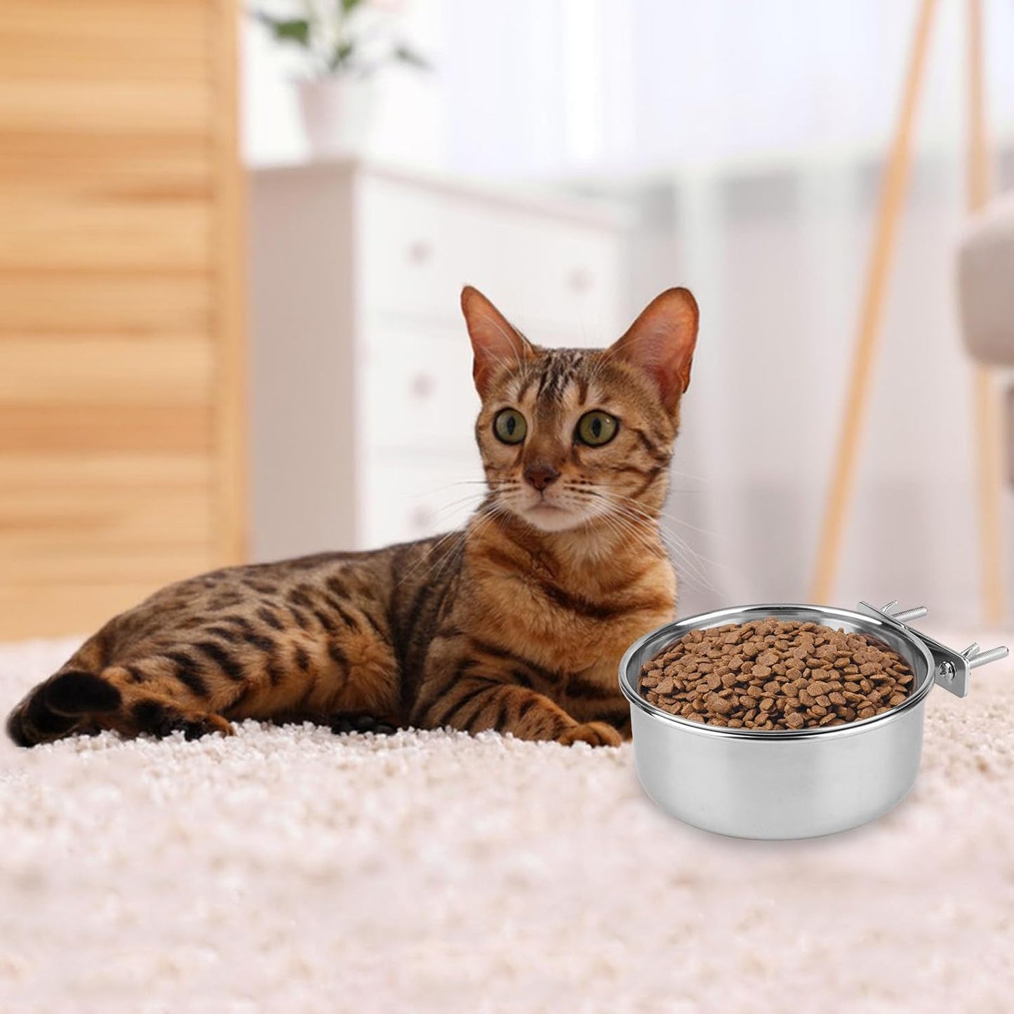 Stainless Steel Bird Food Water Bowl Parrot Cage Accessories for Parakeet Bird Dog Cat Parrot Rabbit (Large,5.5 * 2.3In)
