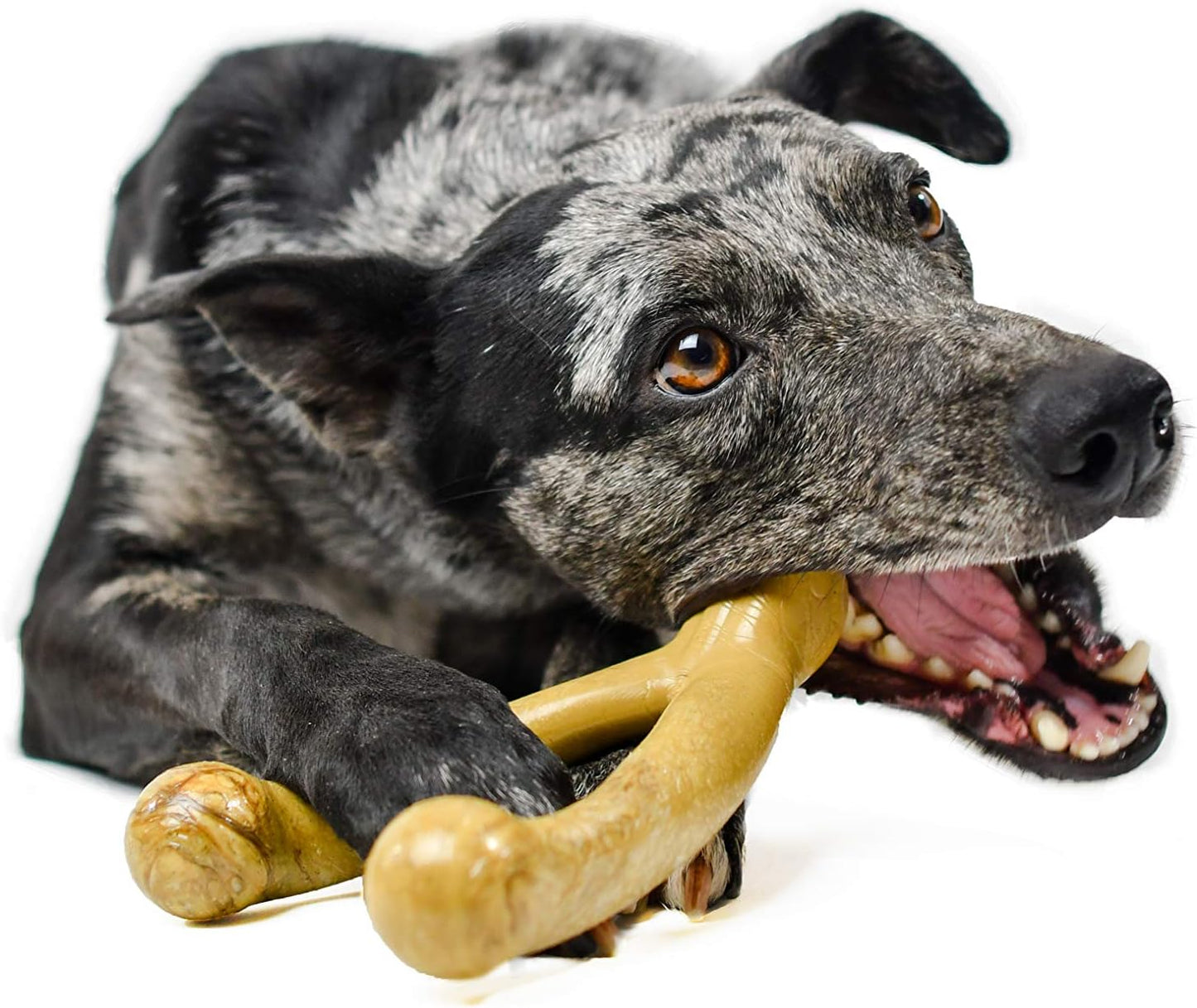 Wishbone Barkbone - Nylon Chew Toy for Aggressive Chewers - Peanut Butter Flavor - 6.75"
