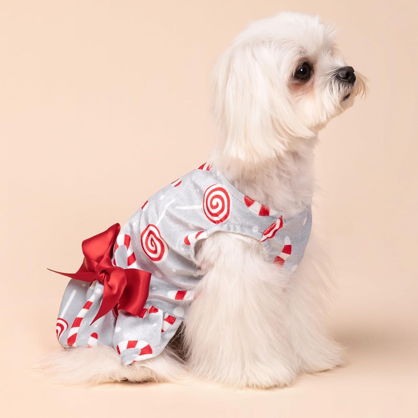 Christmas Candy Canes Dog Dress, Cute Dog Christmas Outfit, Doggy Clothes for Small Dogs Girl, Pet Apparel, Silver, Red, White, Large