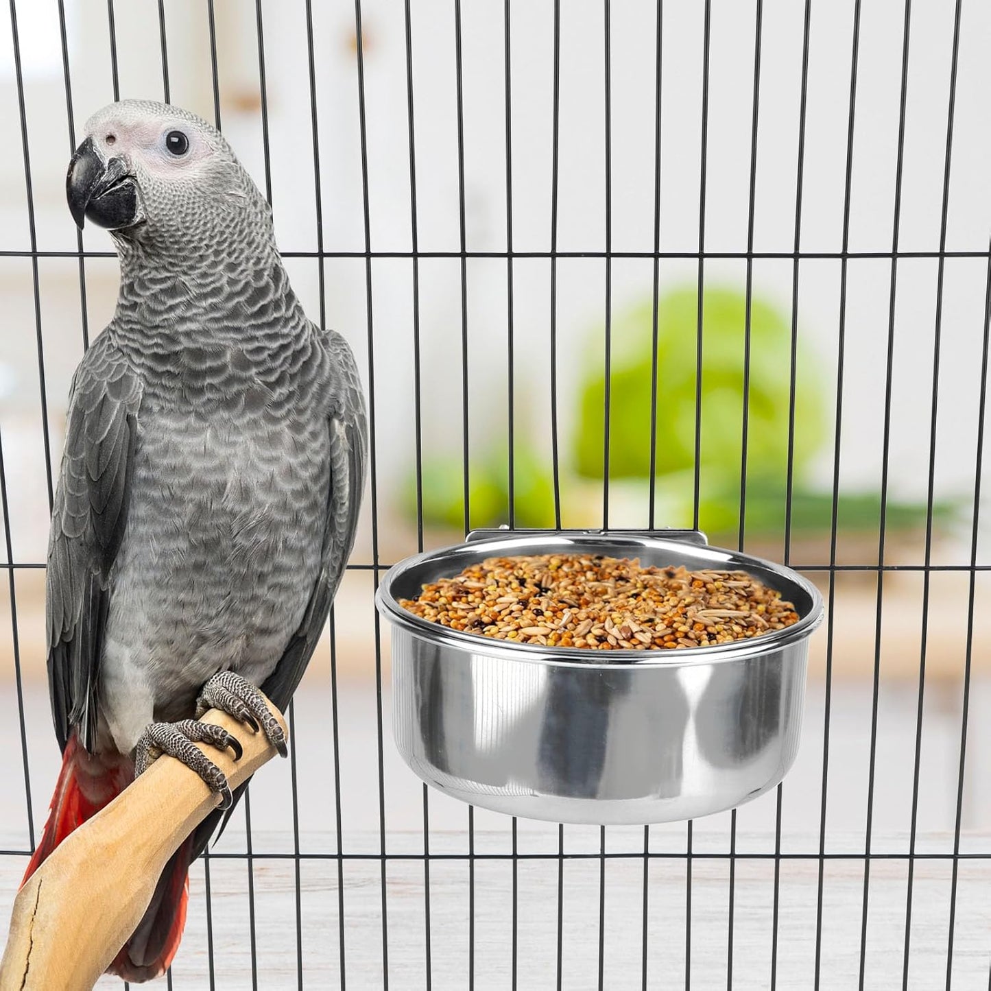Stainless Steel Bird Food Water Bowl Parrot Cage Accessories for Parakeet Bird Dog Cat Parrot Rabbit (Large,5.5 * 2.3In)