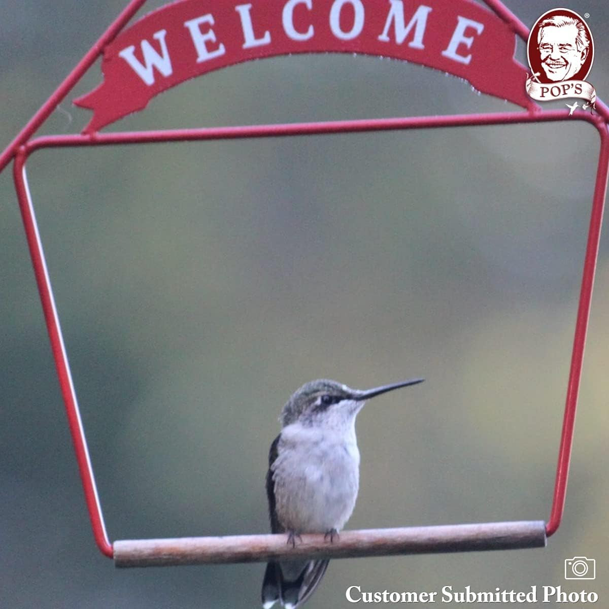 Welcome Home Hummingbird Swing for Outdoors - Perfect Bird Perch for Small Birds - Sturdy Steel Metal Swing Set with Hook Included