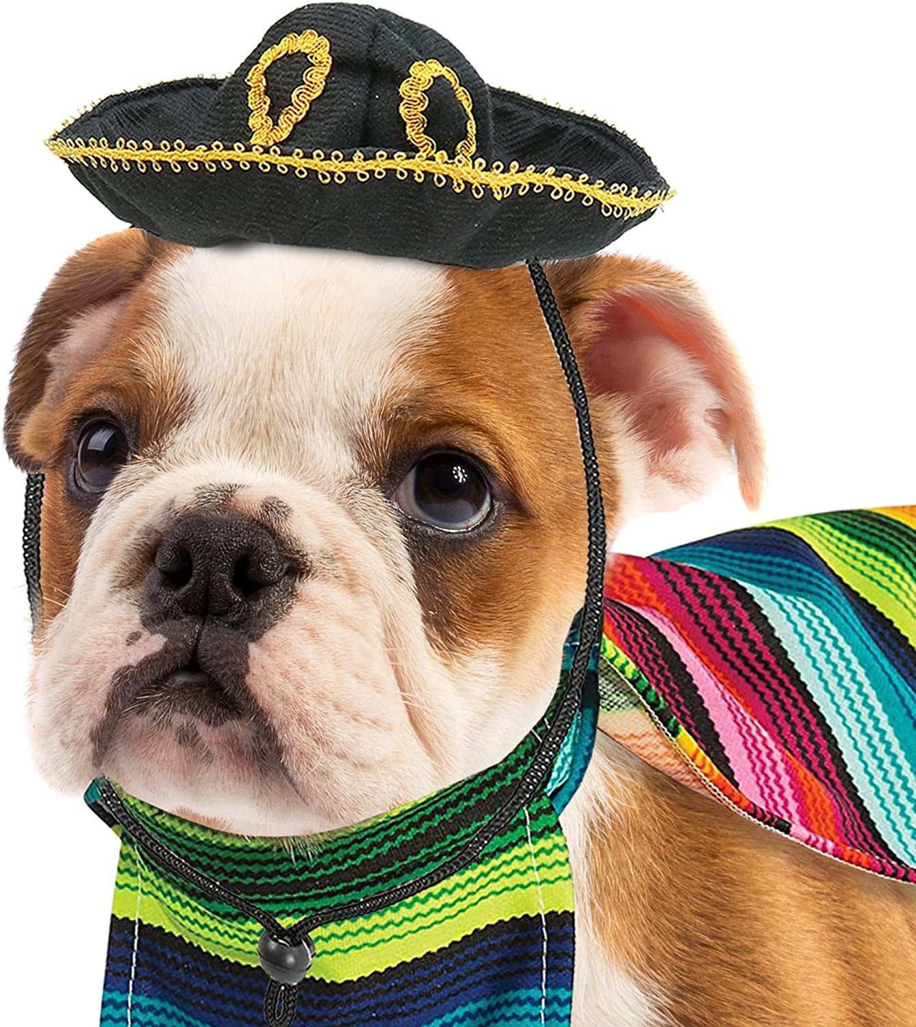 Mexican Serape Dog Costume - Cinco De Mayo Poncho and Sombrero Costumes for Pets (Size L) - Small Breeds Multicolored