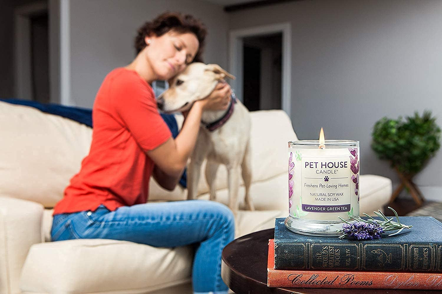 Pet Friendly Candle, 9 OZ Scented Soy Candle, Clean Burning, Long Lasting Air Freshener for Home - Mandarin Sage
