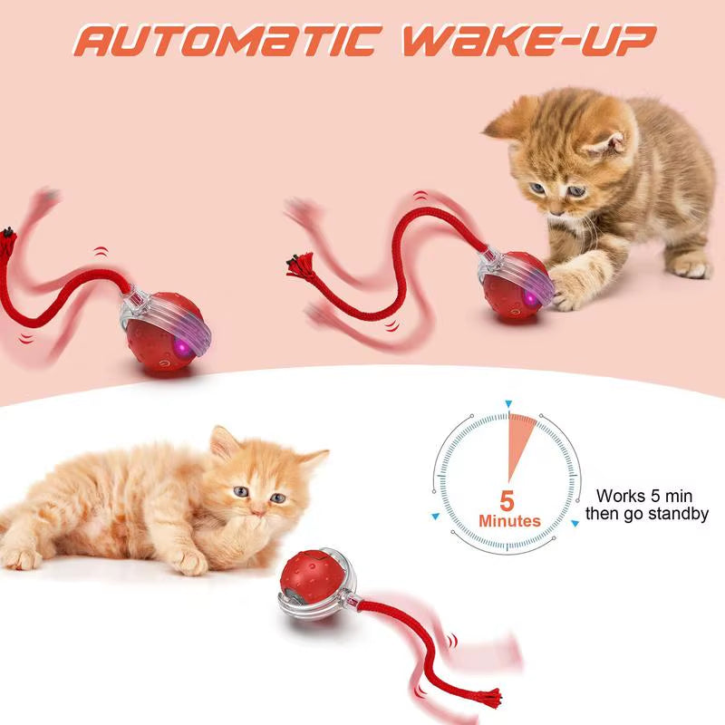 Cat Interactive Ball Toy Automatic Rolling Ball with Tail Rechargeable Smart Pet Interactive Toy Intelligent Mouses for Cat