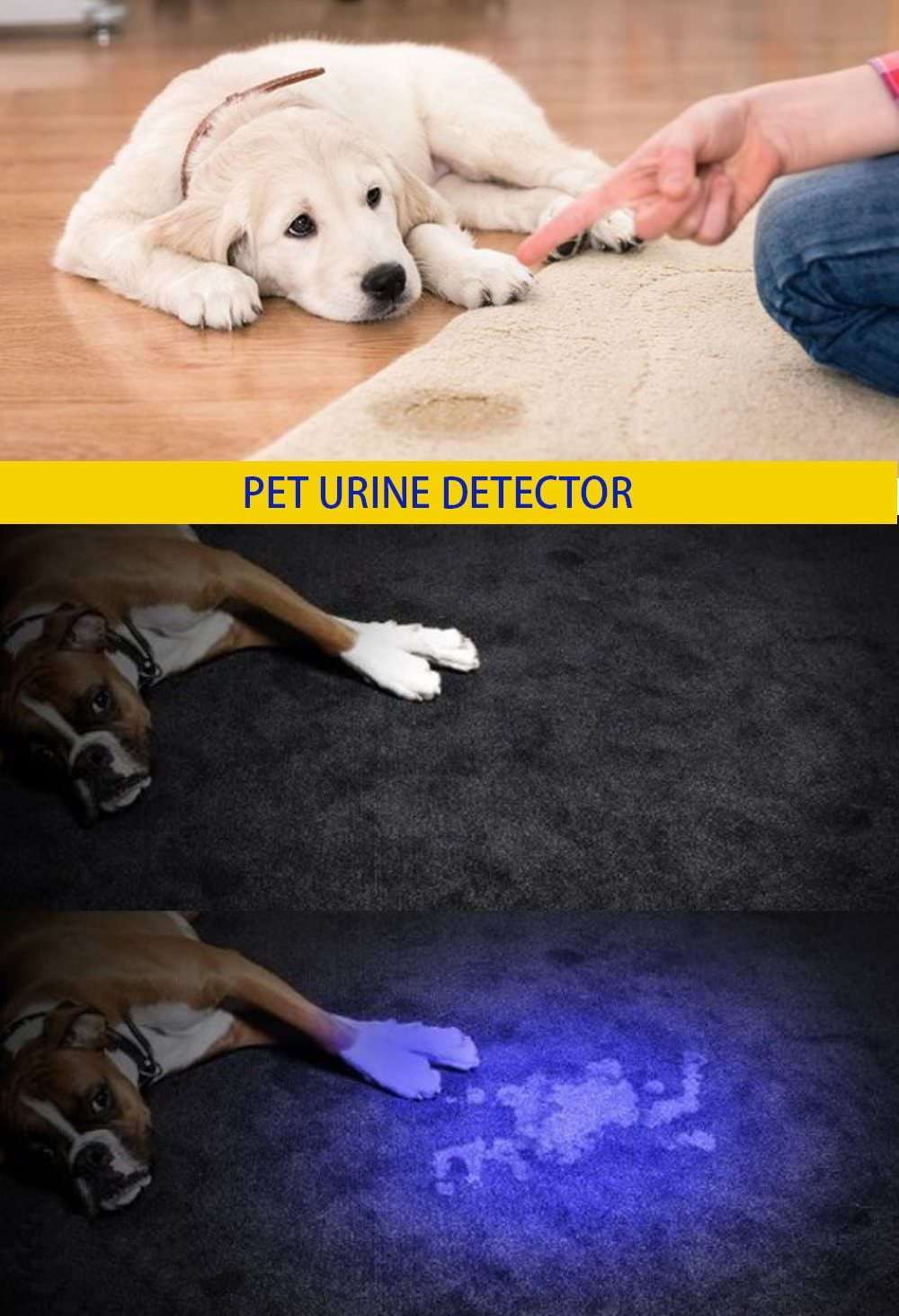 UV 395Nm USB Rechargeable Flashlight Ultraviolet Led Light Blacklight Portable 400Nm Mini Detector for Dog Urine Pet Stains, Anti-Counterfeiting Identification, Resin Curing