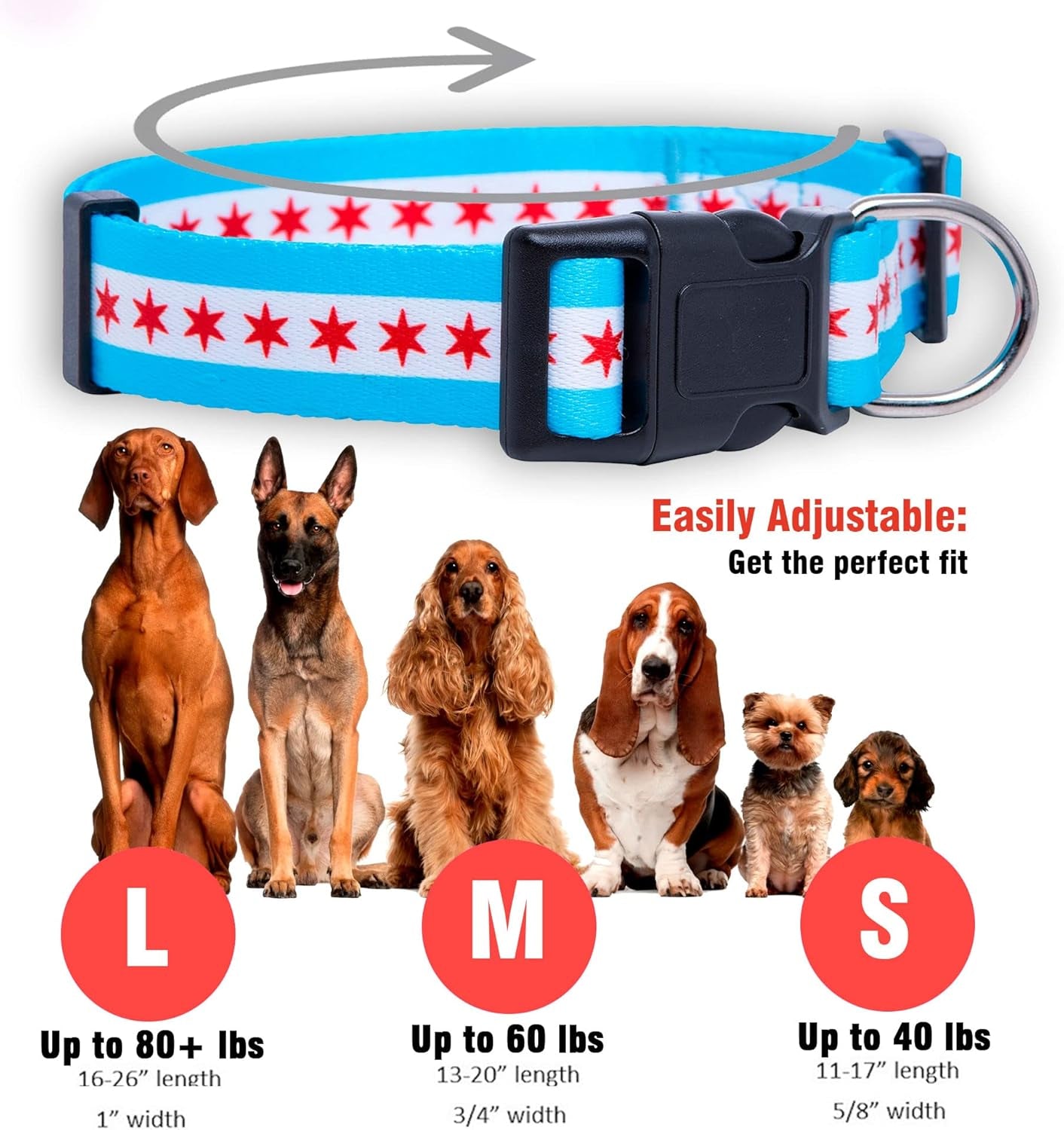 Chicago Flag Dog Collar (Chicago, Medium)