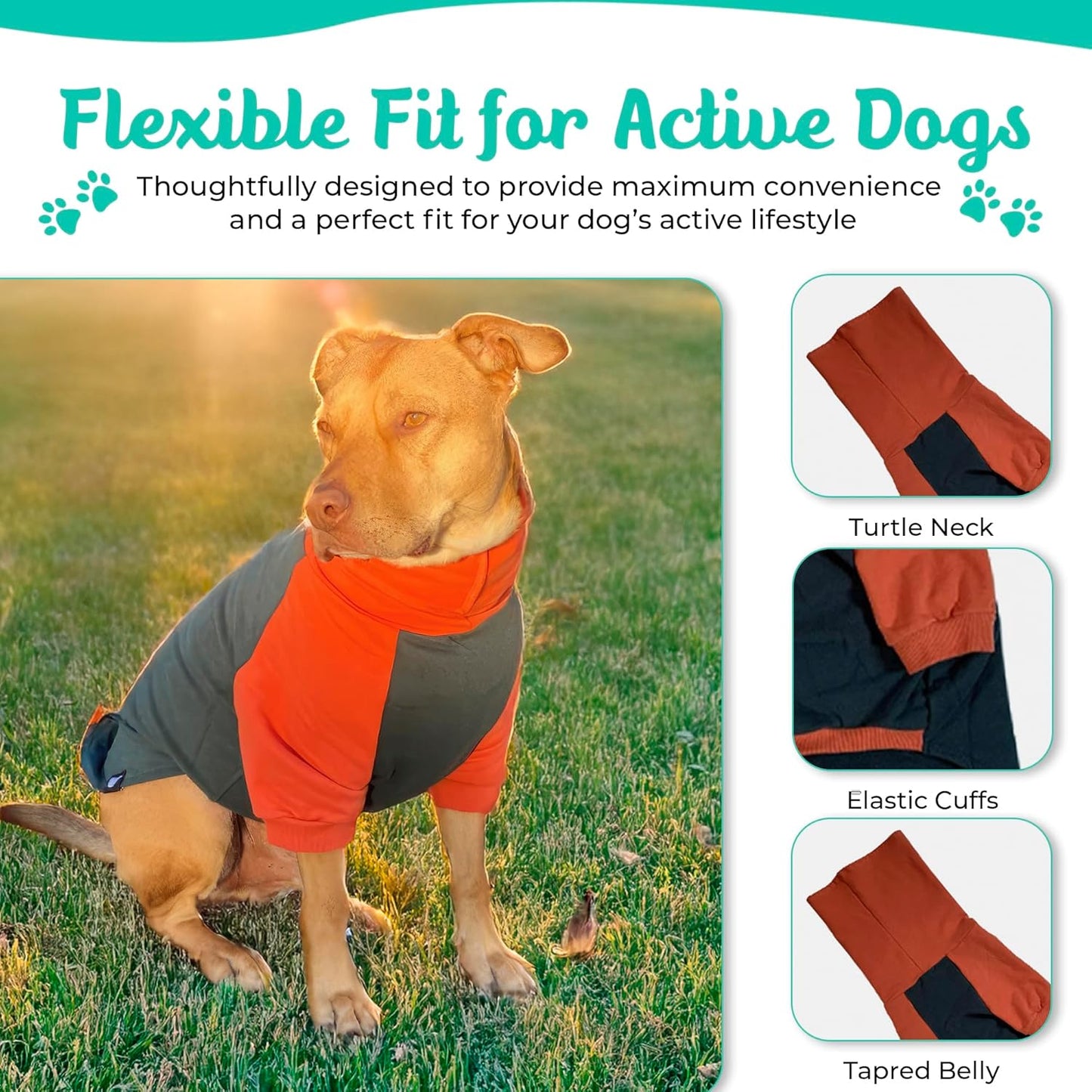 Pitbull Dog Sweater - Dark Green & Orange (Xx-Large)