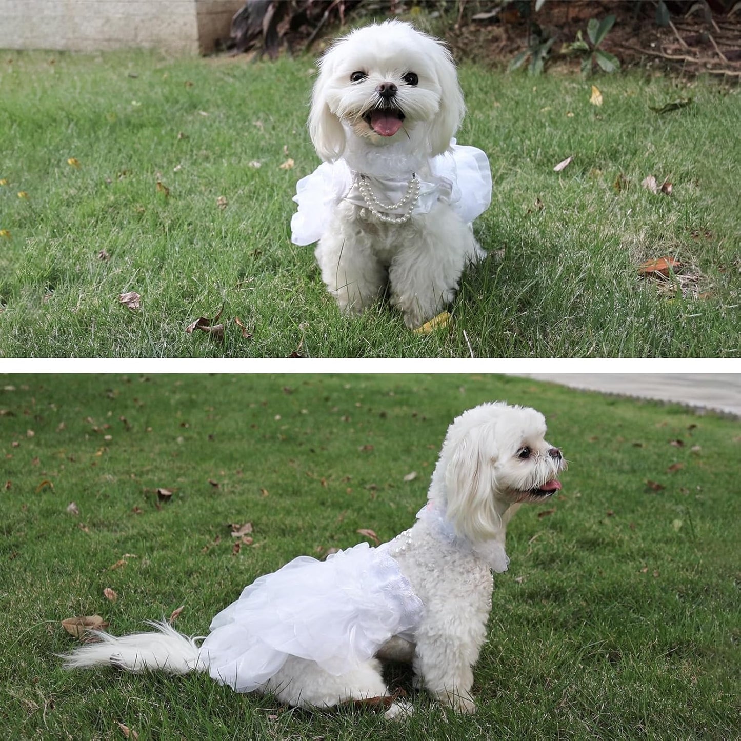 Dog Wedding Dress Bride Outfit with Pearl Necklace and Rose Pet Princess Dress Apparel for Puppy Dog Cat (Large)