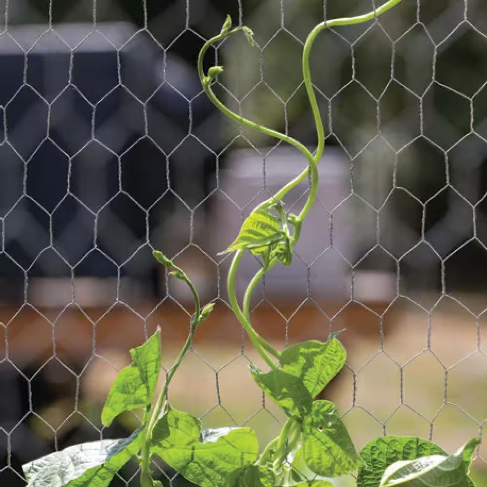 1 In. Mesh 2 Ft. X 50 Ft. 20-Gauge Galvanized Steel Poultry Netting