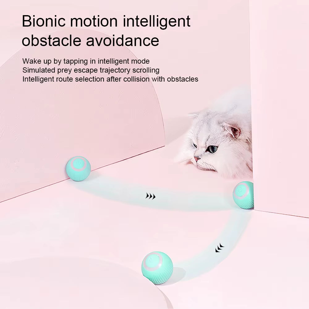 Interactive Cat Toys Ball, Automatic 360° Self-Rotating Rolling Ball USB Accessories Cats Pet Exercise Chase Toy Ball for Kitten