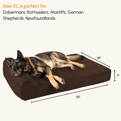 Barker Beds Orthopedic Dog Bed - 7" Pillow Top XL Size (52 X 36 X 11) - Luxury Washable Large Dog Bed with Headrest - Memory Foam Mattress for Big Dogs (Chocolate)