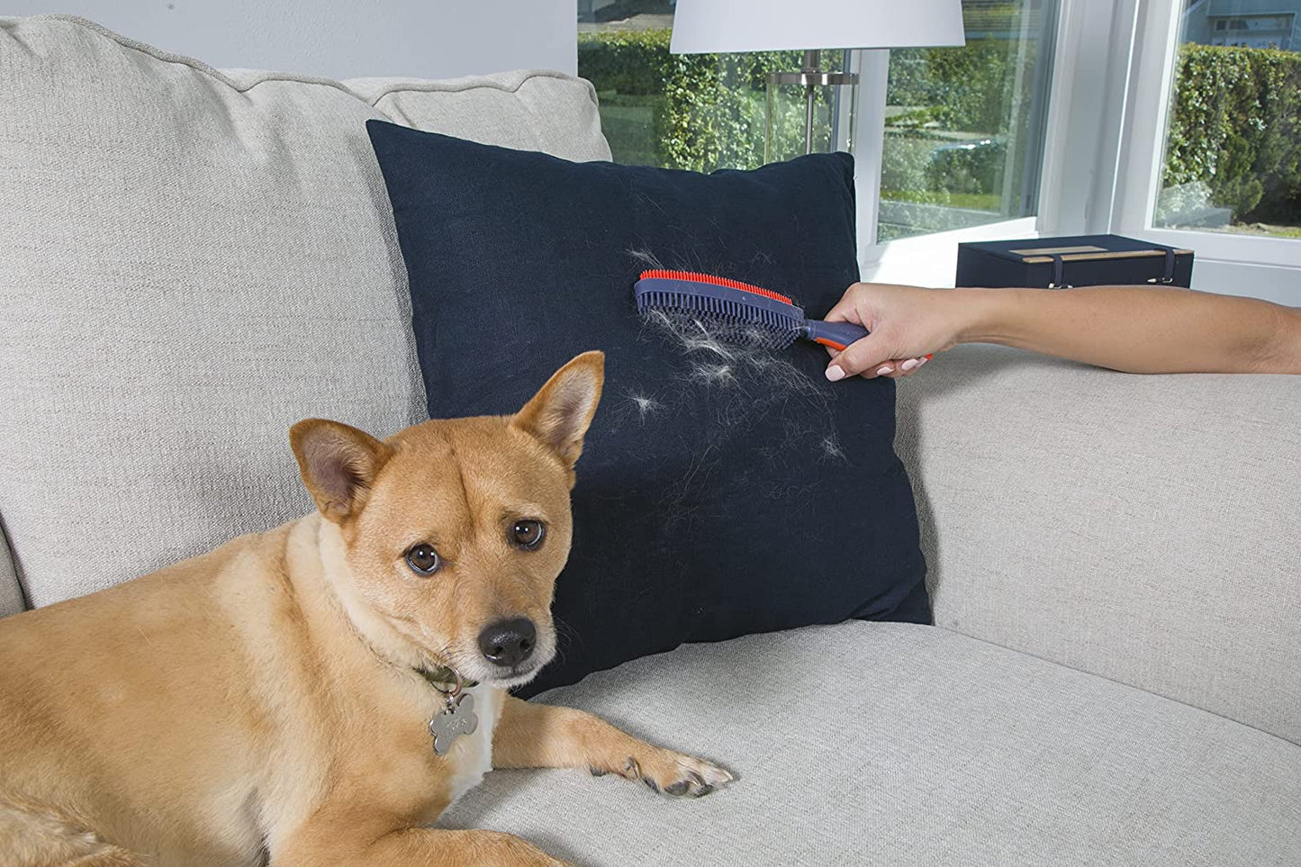 Duo Pet Hair Rubber Brush, Dual Sided to Easily Remove Fur and Lint from Clothing and Upholstery, Thick Bristles Groom Dogs and Cats, Easy to Clean, Colors May Vary