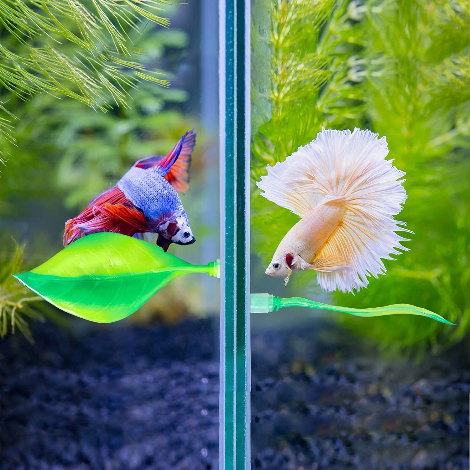 2 Pieces Silicone Betta Bed Leaf Hammock for Betta Fish, Betta Fish Bed, Practical Resting Spot, No BPA, Comfortable and Safe (Green)