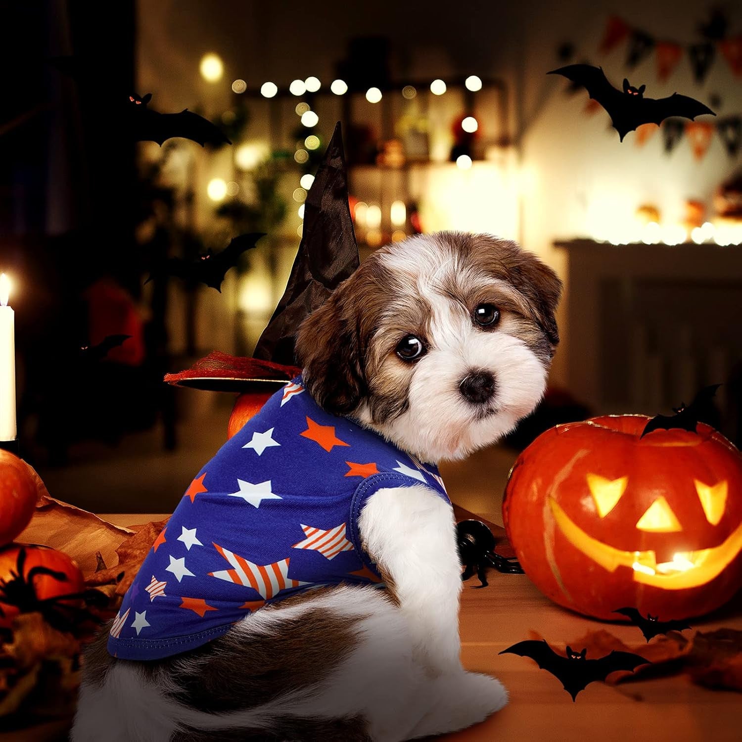 6 Pieces Holiday Dog Shirt Halloween Dog Clothes Thanksgiving Pet Clothes Seasonal Puppy Festival Vests Pet Shirts for Christmas(M (Fit 5-7Lbs))