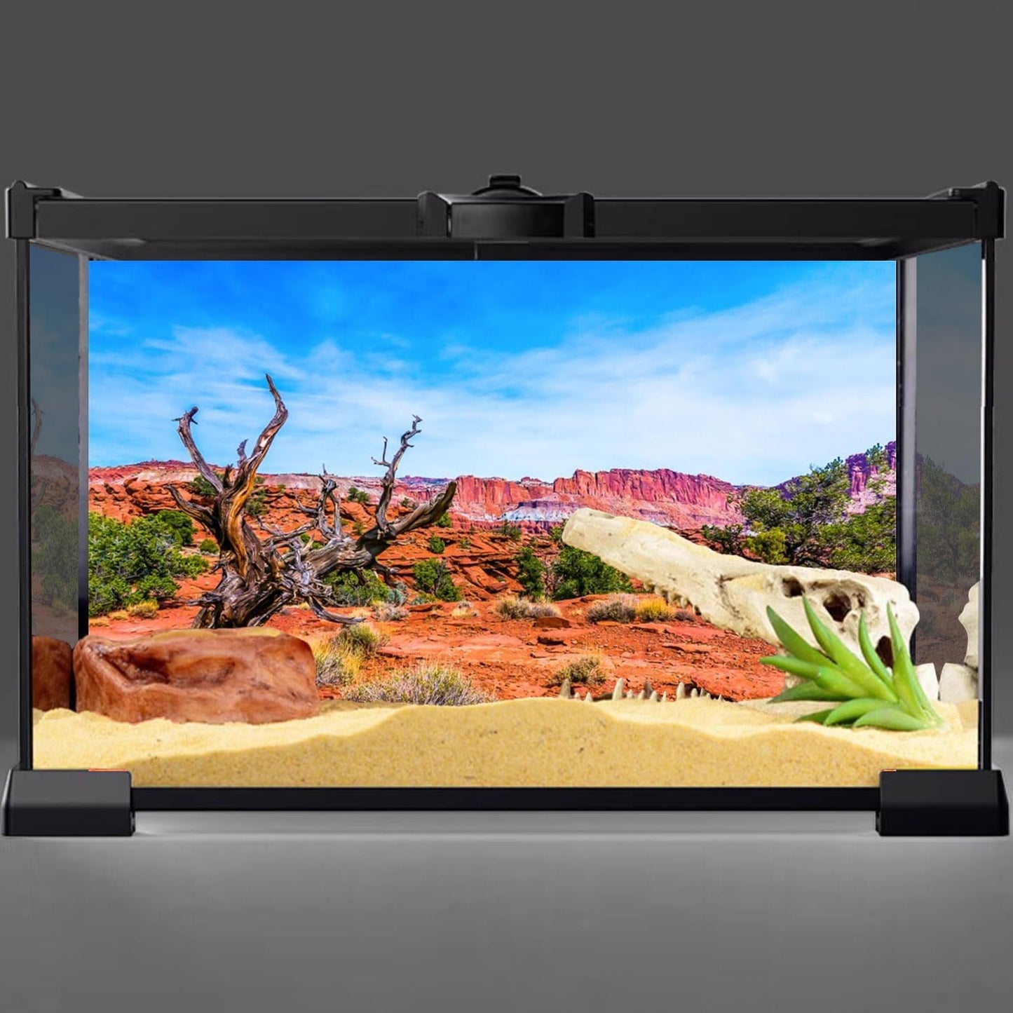 48X24 Inches Reptile Habitat Background Blue Sky Oasis Orange Desert Terrarium Background Polyester Background
