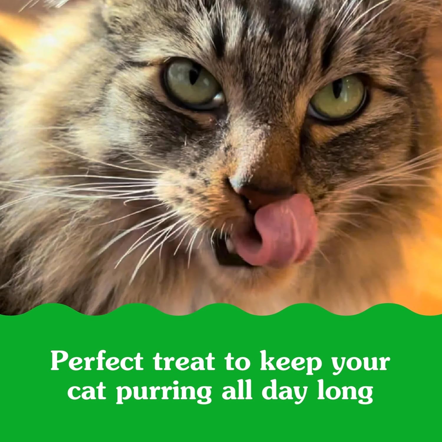 Feline Smartbites Hairball Control, Chicken Flavor, 16 Ounce