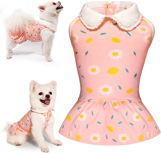 Dog Dress, Dog Birthday Dress, Dogs Summer Skirt, Dogs Flower Skirt with Lace Collar, Cute Puppy Clothes for Small Medium Doggie Cat Girl (Pink, XS)