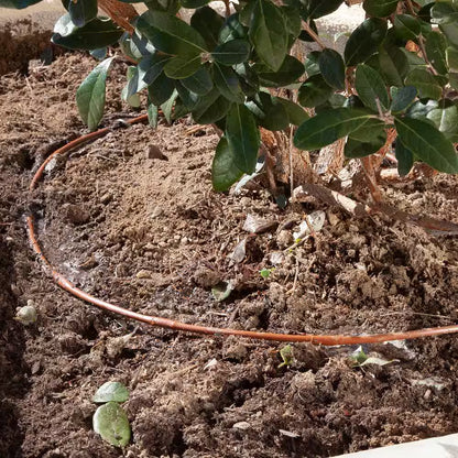 1/4 In. Emitter Tubing 100 Ft. W/6 In. Spacing in Brown