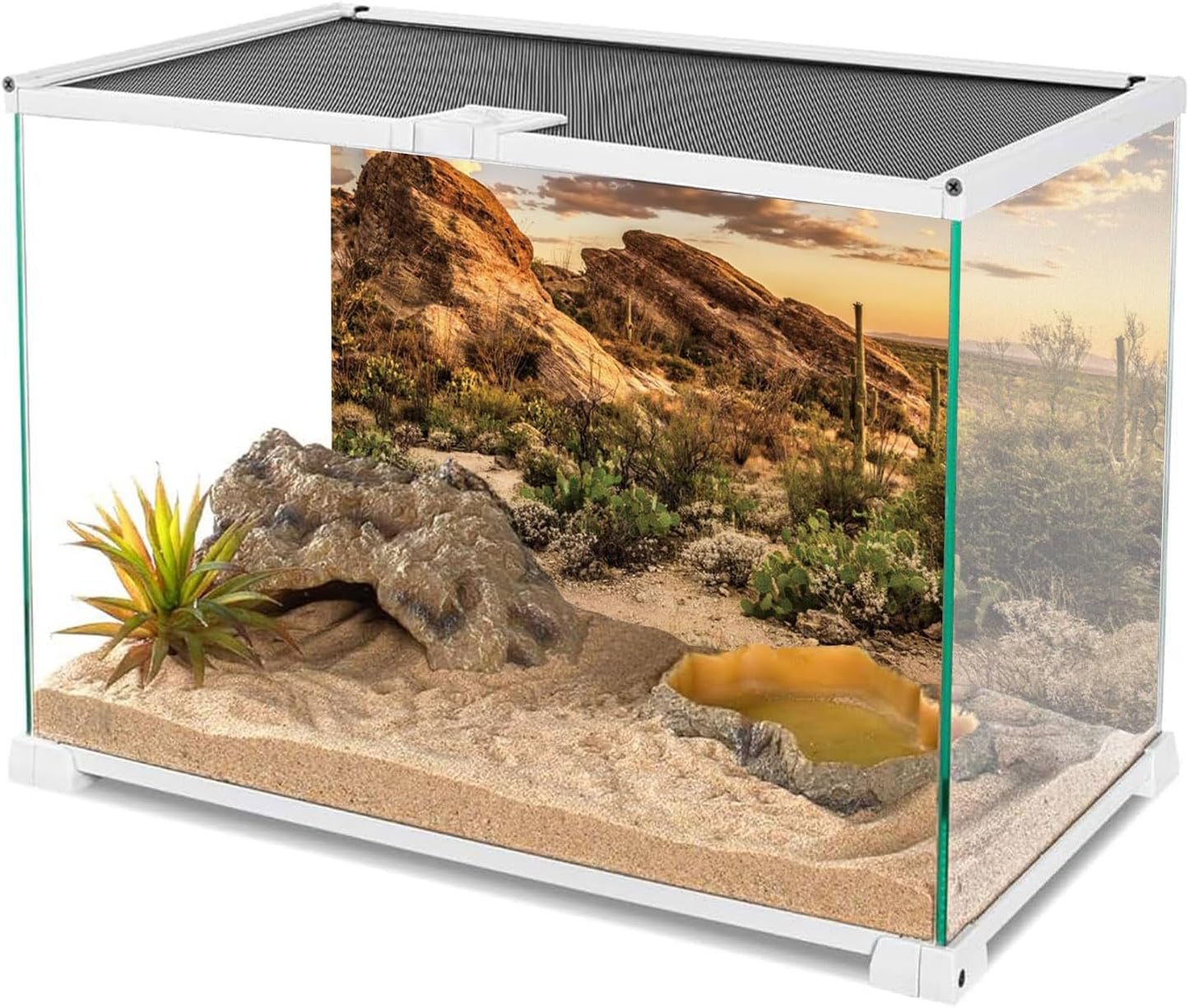 Terrarium Background 36X18 Inches Reptile Habitat Background Blue Sky Oasis Cactus Sun and Desert Terrarium Background Polyester Terrarium Background