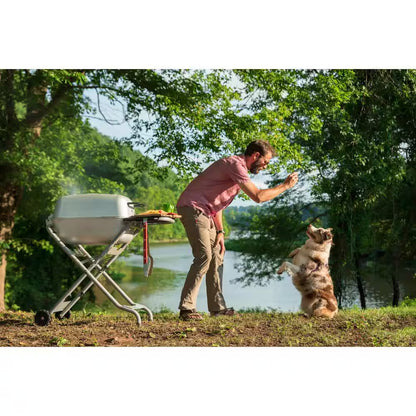 PK-TX Portable Cast Aluminum Charcoal Grill and Smoker in Gray Silver