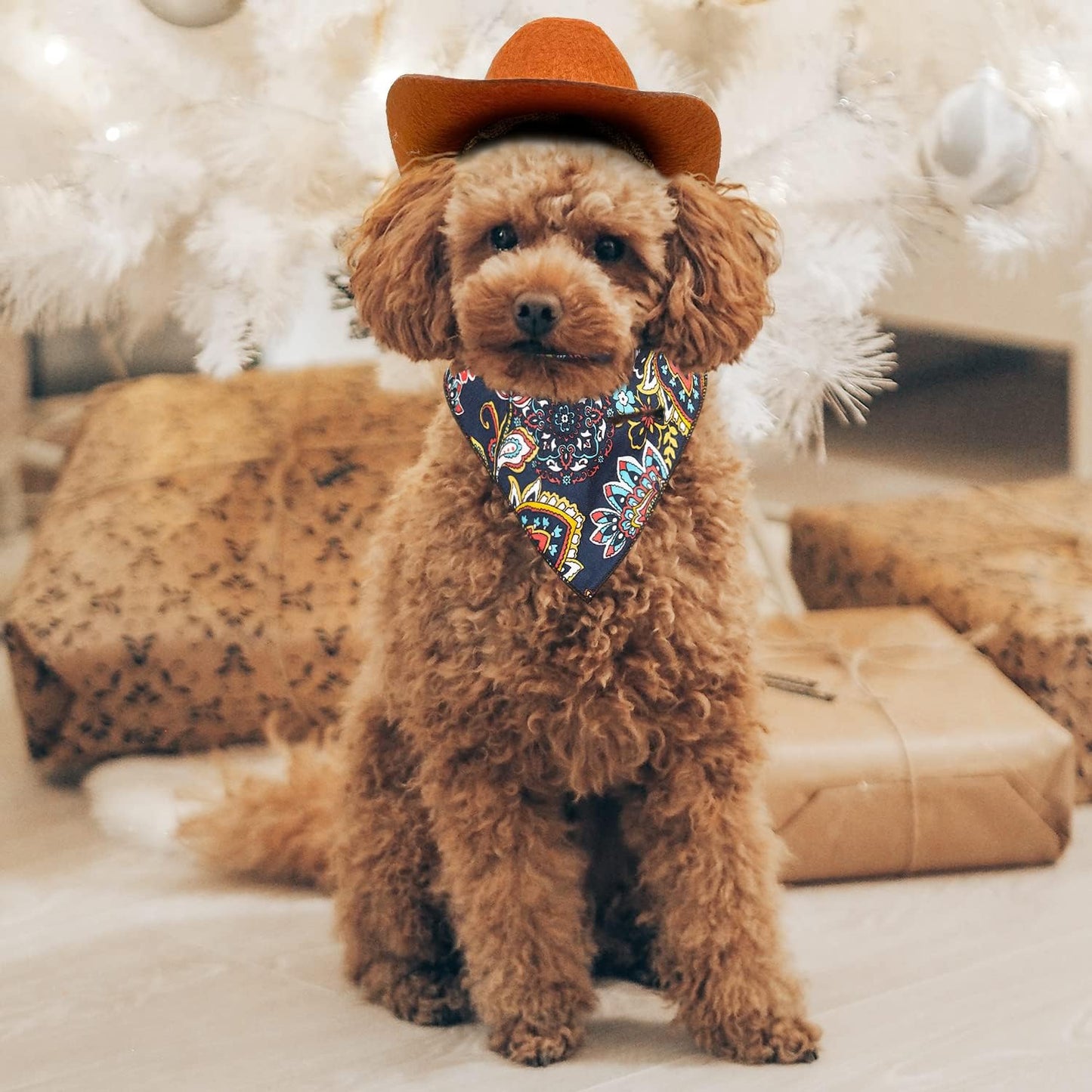 2 Pack Funny Pet Costume Accessories Set, Cat Small Dog Cowboy Hat with Adjustable Elastic Chin Strap and Bandana for Birthday Christmas Halloween Holiday Party Cosplay Daily Wearing